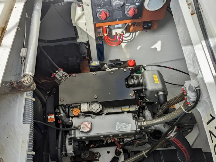 Spring Tradition Yacht Photos Pics 