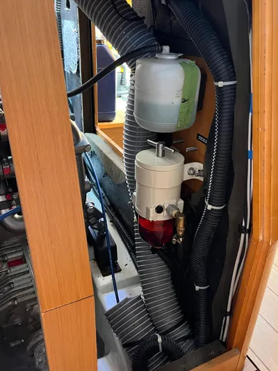 Fit Lady Yacht Photos Pics 