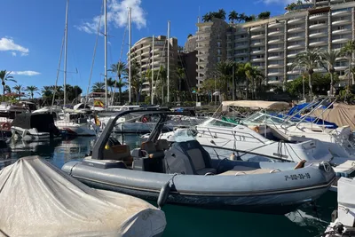 2020 Zodiac Medline 7.5