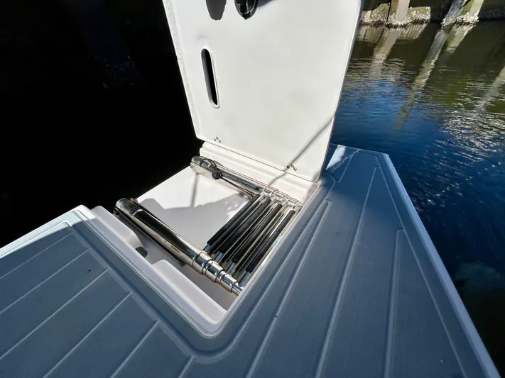 All Gas No Brakes Yacht Photos Pics Regal 33 SAV 2020 boat ladder compartment by the water.