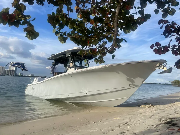  Yacht Photos Pics 2022 Sea Hunt Ultra 305 SE boat on sandy beach under tree, calm water background.