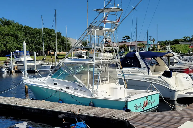 Reely Blessed Yacht Photos Pics 1998 Cabo 31 Express with Tower docked at marina, clear blue sky.