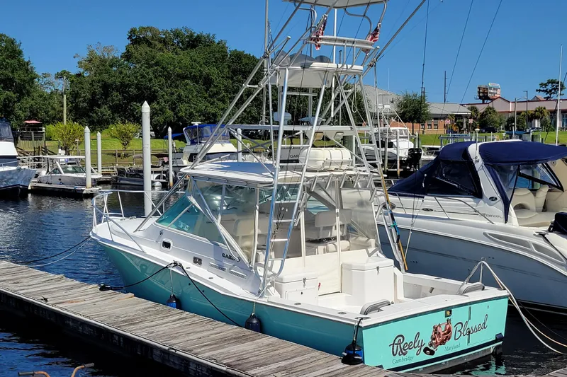 Reely Blessed Yacht Photos Pics 1998 Cabo 31 Express with Tower docked at marina, surrounded by other boats.