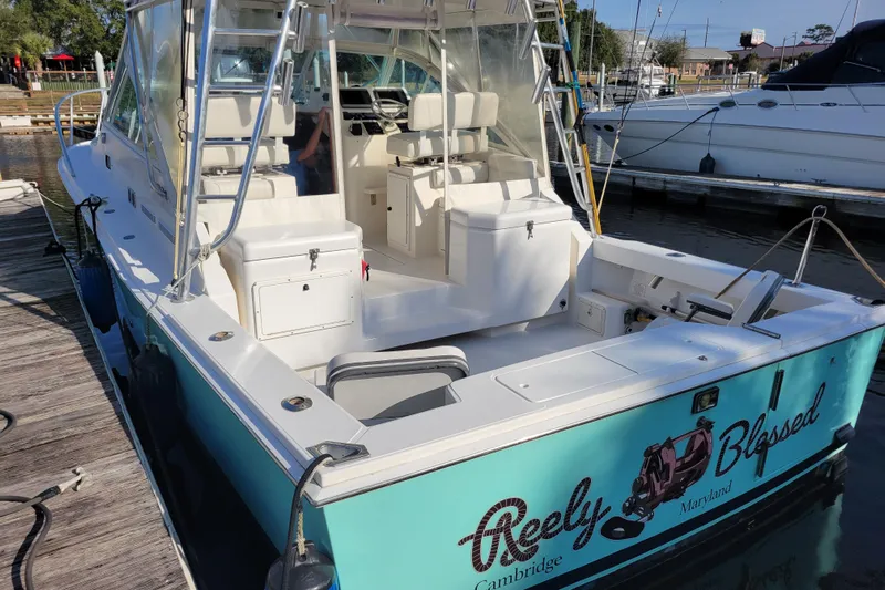 Reely Blessed Yacht Photos Pics 1998 Cabo 31 Express with Tower docked, featuring spacious seating and fishing equipment.