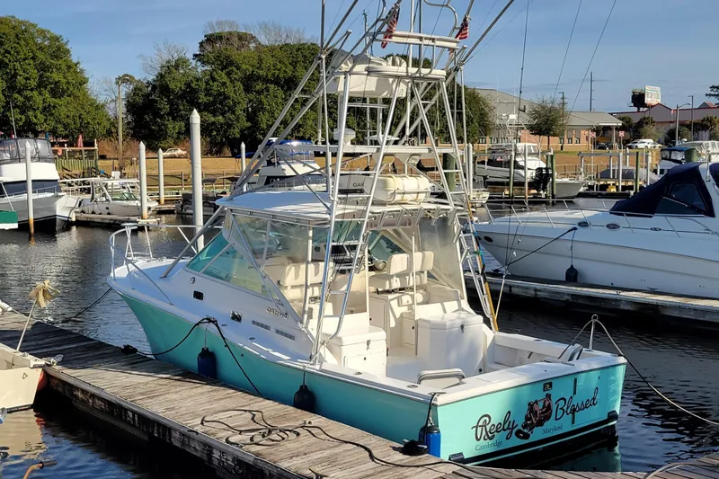 Reely Blessed Yacht Photos Pics 1998 Cabo 31 Express with Tower docked at a marina, featuring a sleek design.