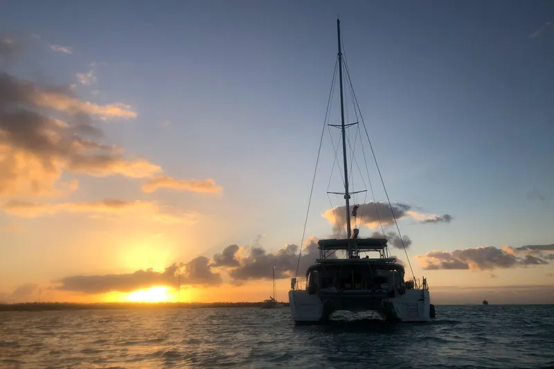 Stray Cats Yacht Photos Pics 