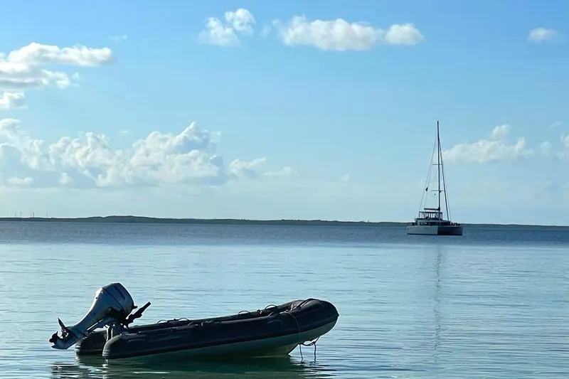 Stray Cats Yacht Photos Pics 