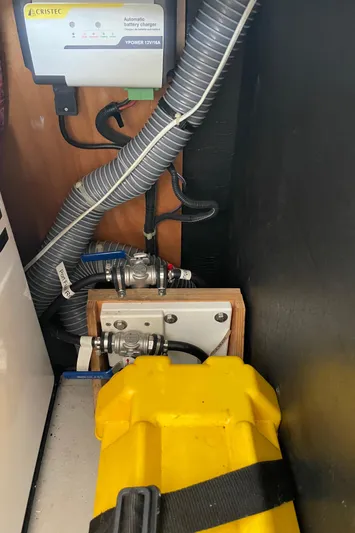 Stray Cats Yacht Photos Pics 