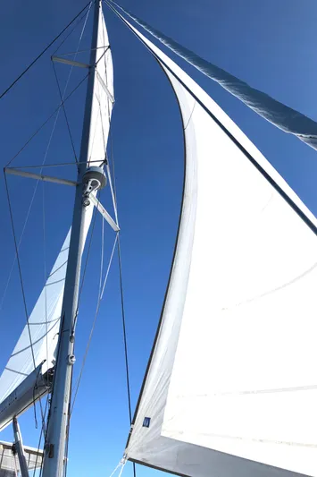 Stray Cats Yacht Photos Pics 