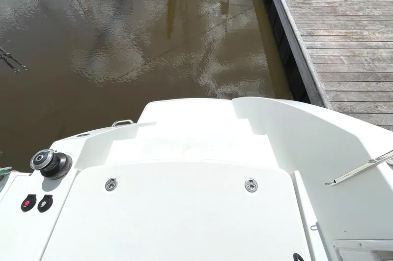 Stray Cats Yacht Photos Pics 