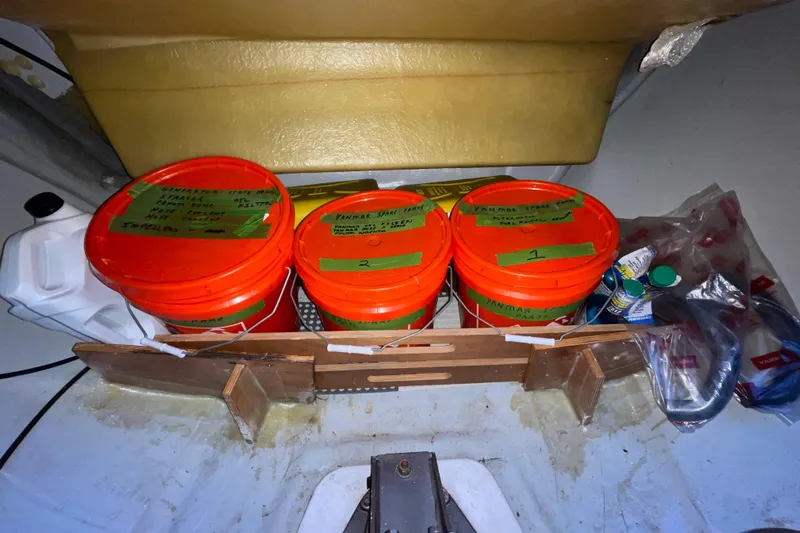 Stray Cats Yacht Photos Pics 