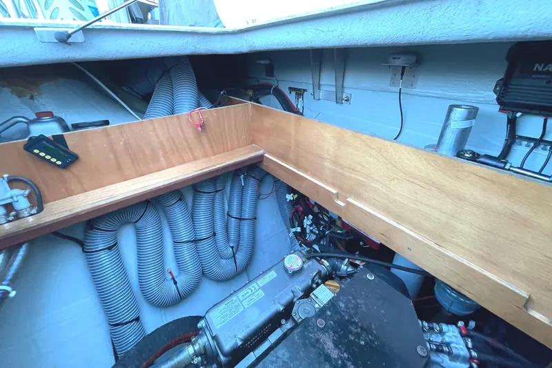 Stray Cats Yacht Photos Pics 