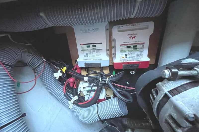 Stray Cats Yacht Photos Pics 