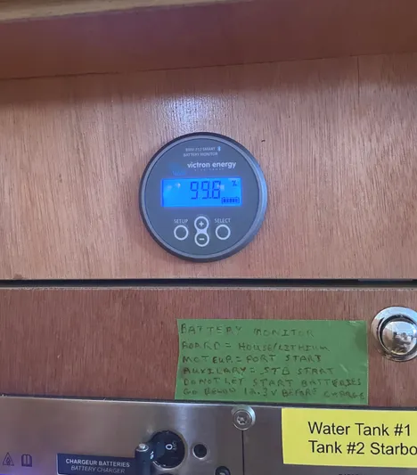 Stray Cats Yacht Photos Pics 