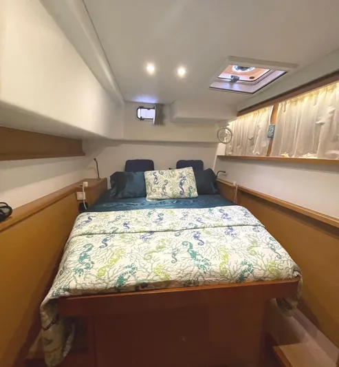 Stray Cats Yacht Photos Pics 