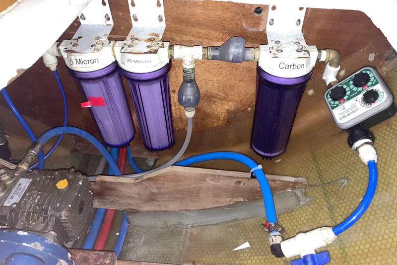 Stray Cats Yacht Photos Pics 