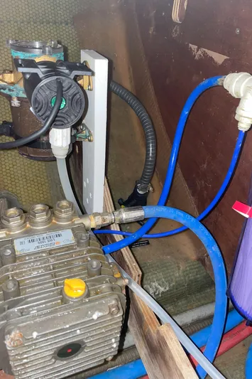 Stray Cats Yacht Photos Pics 