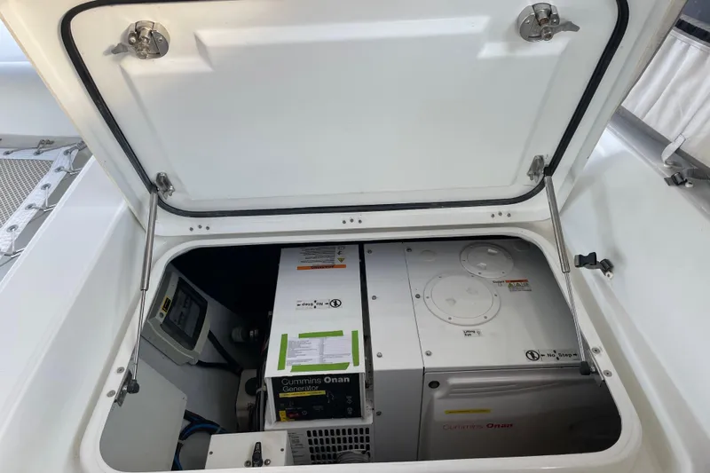 Stray Cats Yacht Photos Pics 