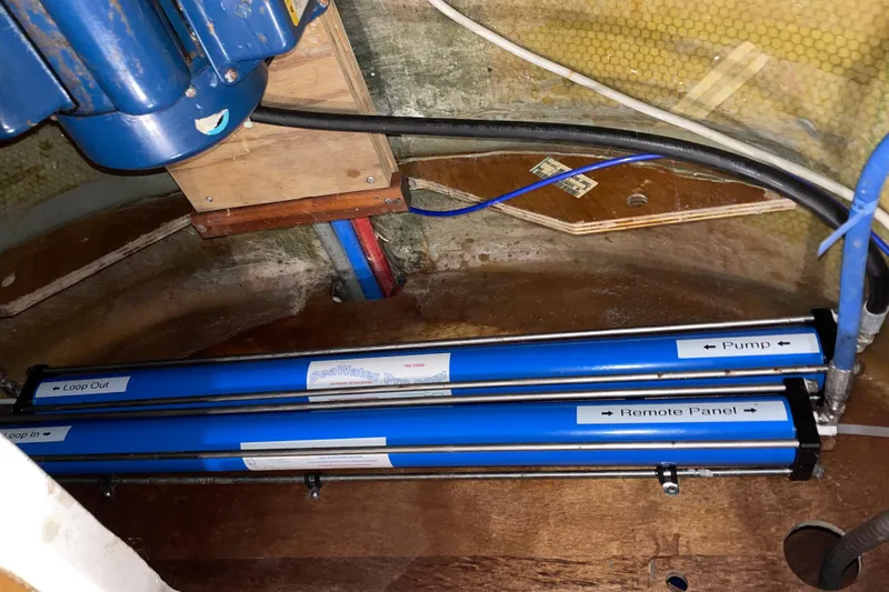 Stray Cats Yacht Photos Pics 