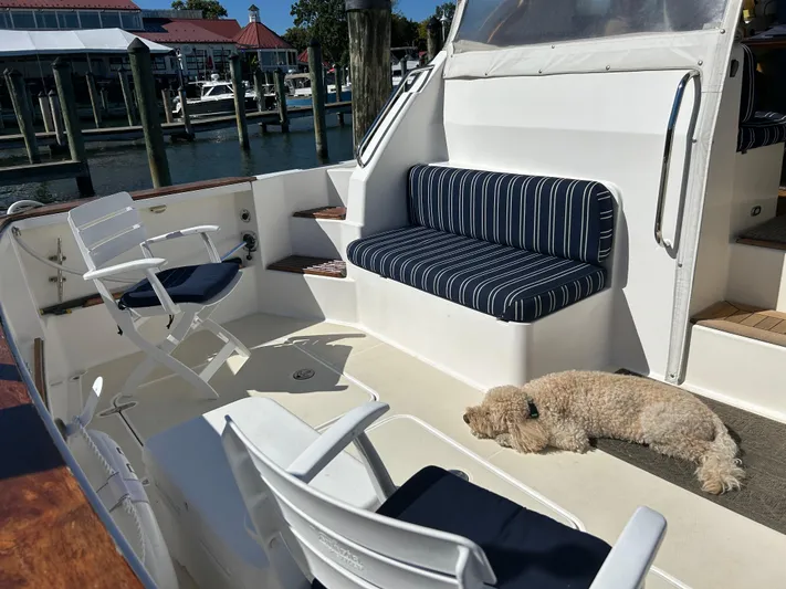 Bravo Yacht Photos Pics 2005 Sabre 42 Hardtop Express boat deck with seating and a dog lounging in the sun.