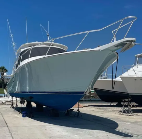 La Rosita Yacht Photos Pics 