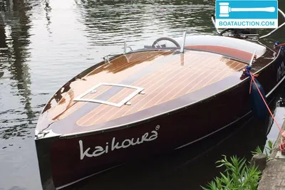 2016 Rascal Runabout