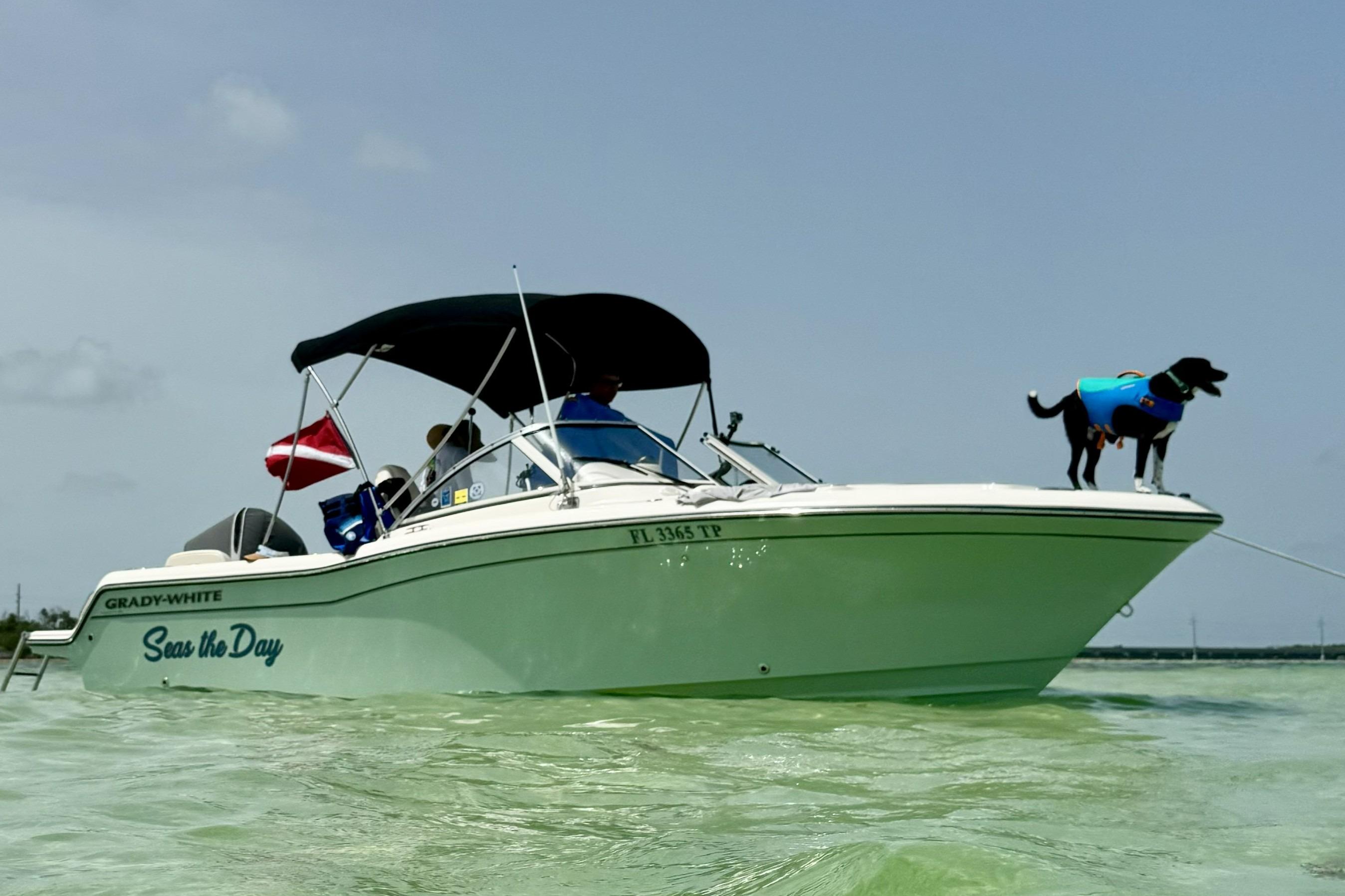 2023 Grady-White Freedom 215 - Image 2