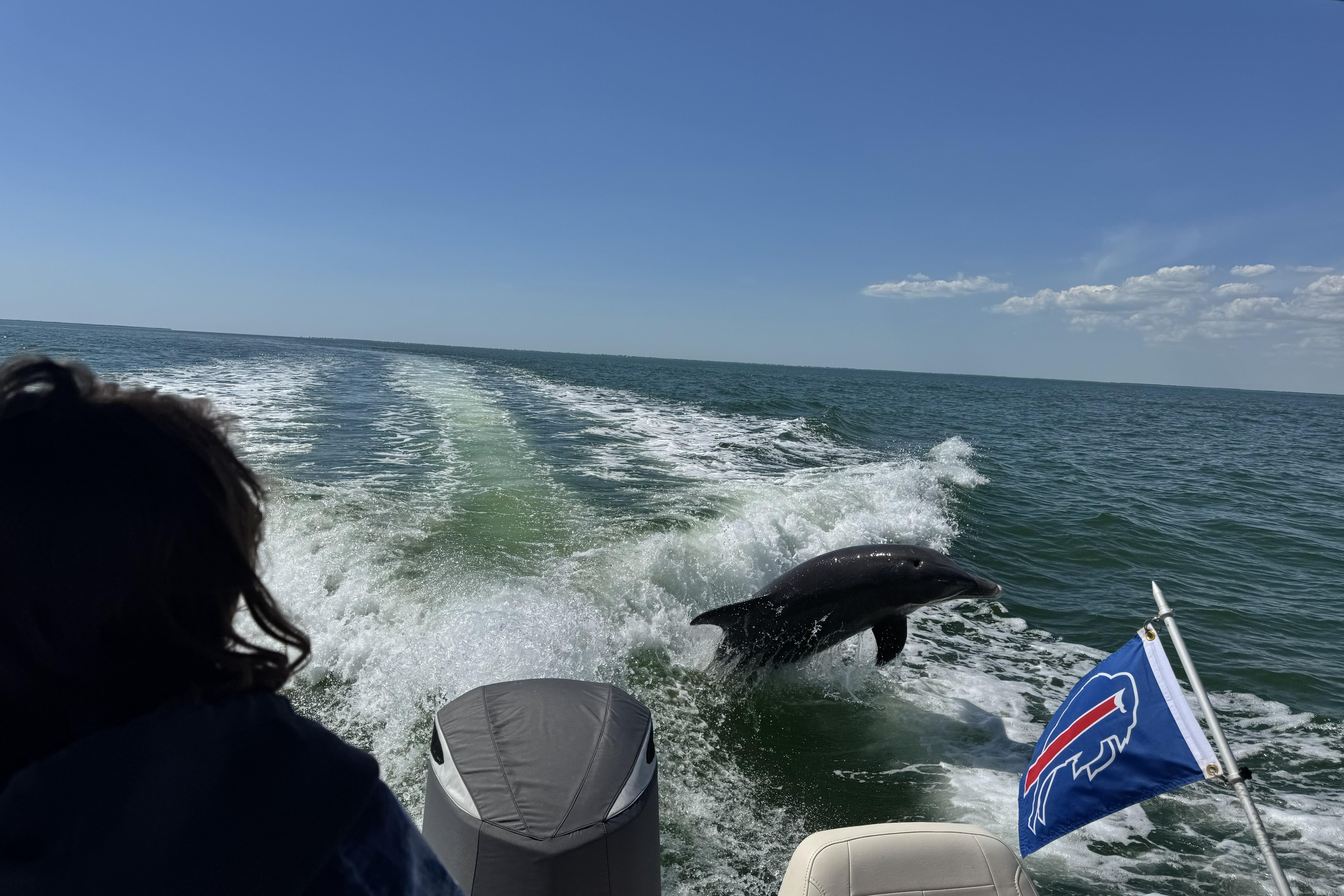 2023 Grady-White Freedom 215 - Image 6