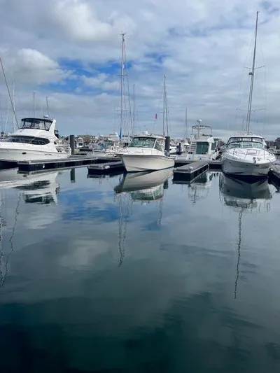  Yacht Photos Pics Boats docked at marina, featuring 2020 Grady-White Express 330 under cloudy sky.