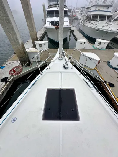 Painkiller Yacht Photos Pics Bavaria C50 yacht docked at marina, 2020 model, surrounded by other boats.