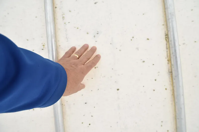 Fin Hunter Yacht Photos Pics 