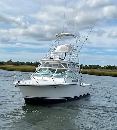 Fin Hunter Yacht Photos Pics 