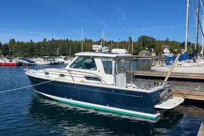 Back Cove 29