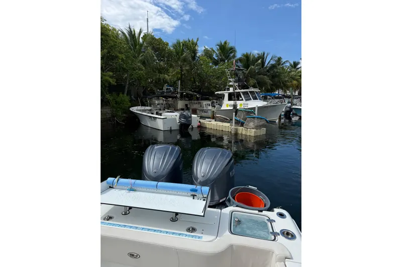  Yacht Photos Pics 2021 Sea Hunt Gamefish 30 Coffin Box docked with other boats, surrounded by palm trees.