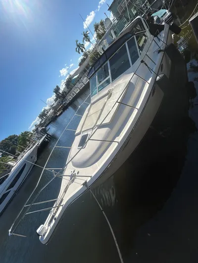 Reel Estate Yacht Photos Pics 1998 Tiara Yachts 3500 Express docked under a clear blue sky.