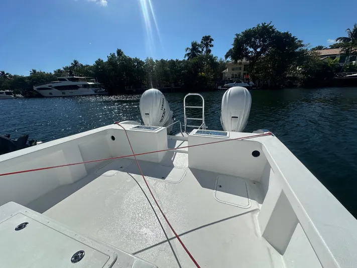  Yacht Photos Pics 2025 AmeraCat 395 boat with dual engines on a sunny day by the water.