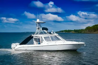Everglades 350LX