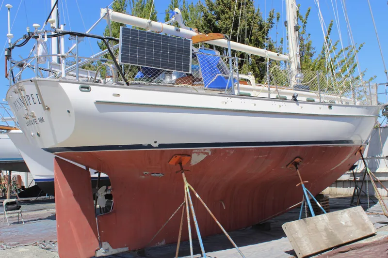 Pinniped Yacht Photos Pics 