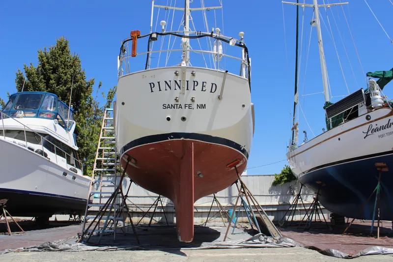 Pinniped Yacht Photos Pics 