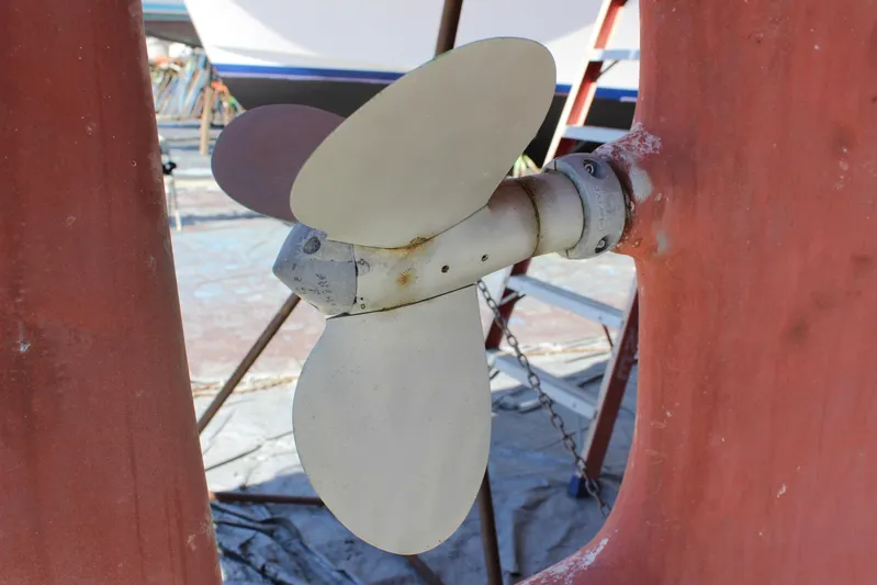 Pinniped Yacht Photos Pics 