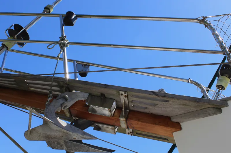 Pinniped Yacht Photos Pics 