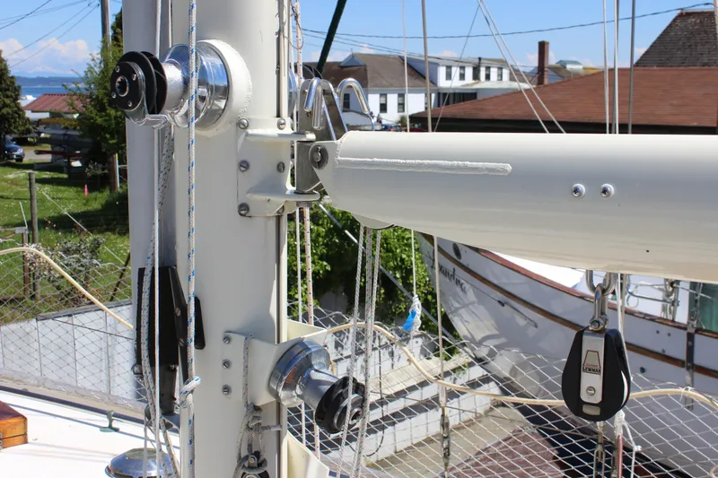 Pinniped Yacht Photos Pics 