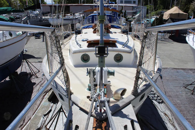 Pinniped Yacht Photos Pics 