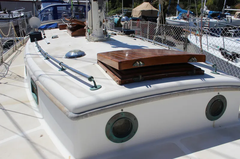 Pinniped Yacht Photos Pics 