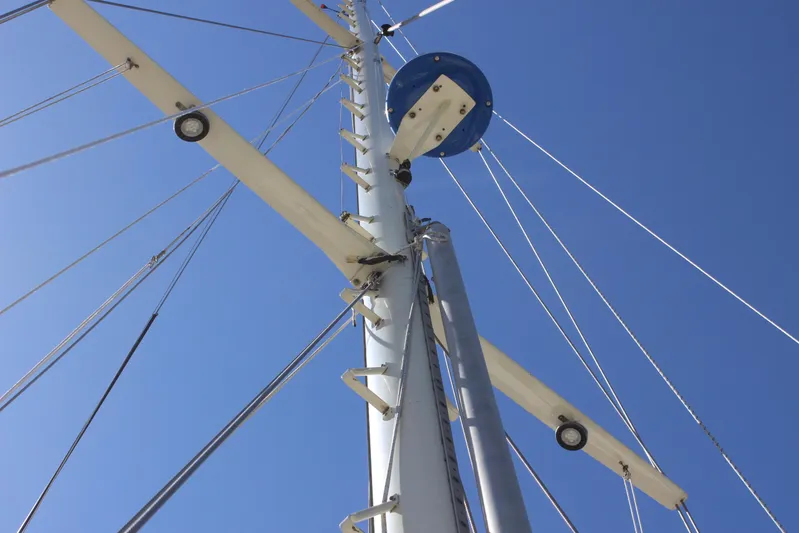 Pinniped Yacht Photos Pics 