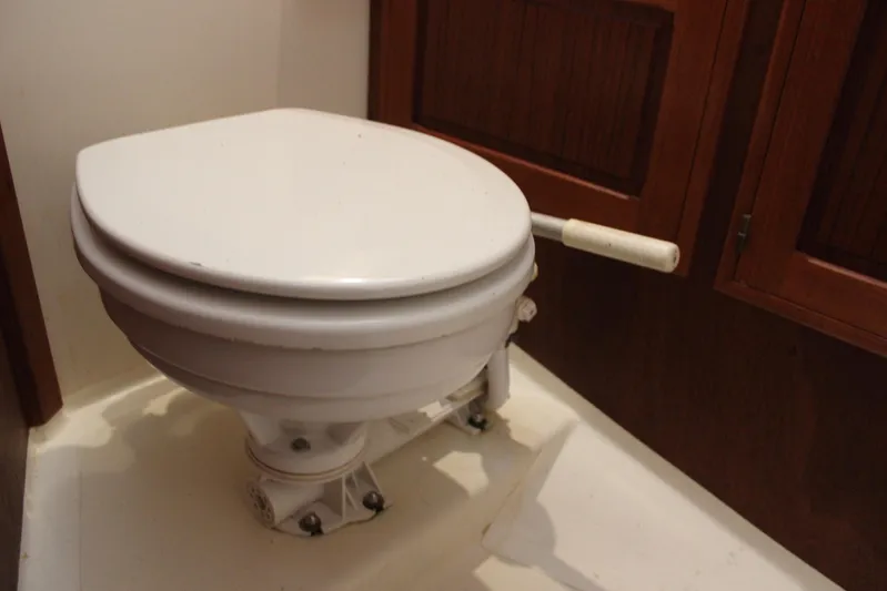 Pinniped Yacht Photos Pics 