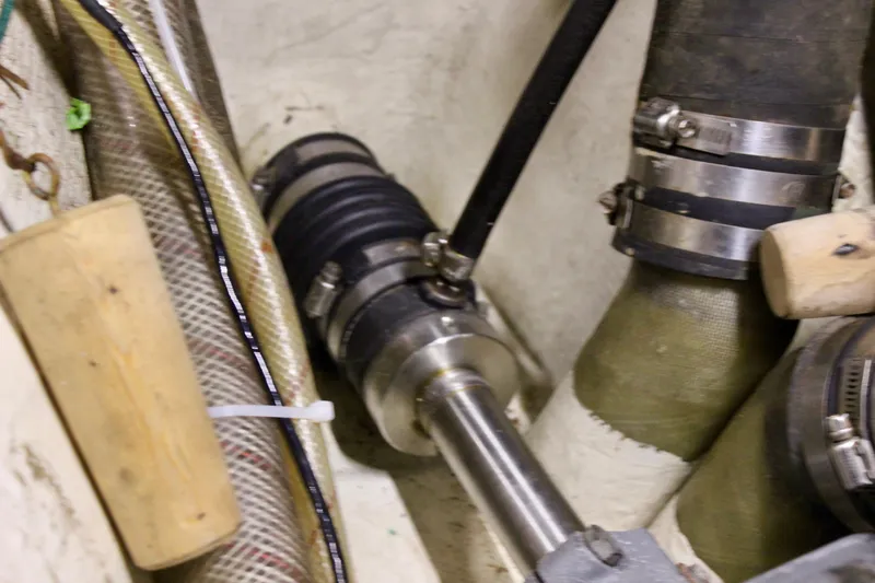 Pinniped Yacht Photos Pics 