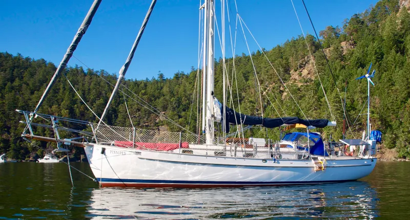 Pinniped Yacht Photos Pics 