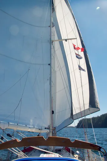 Pinniped Yacht Photos Pics 