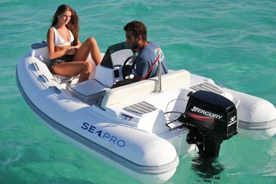 2022 Seapro Pro Tender 400PT RIB